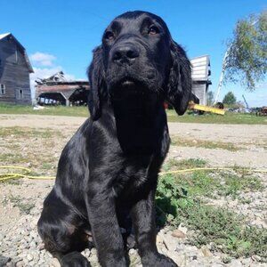 Meet your Posher, Cheryl